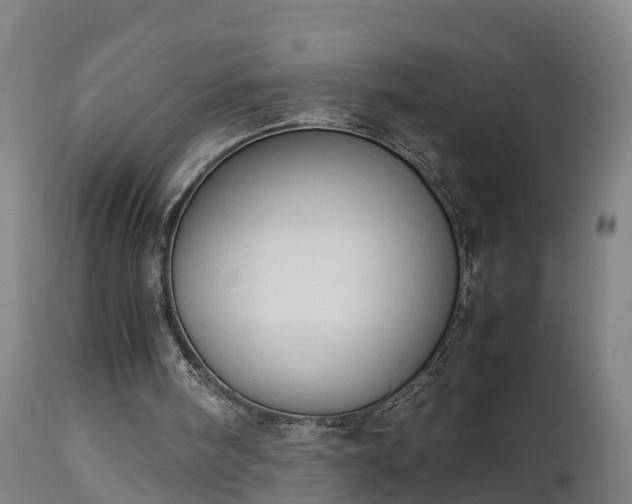 X0000112850098200908281613