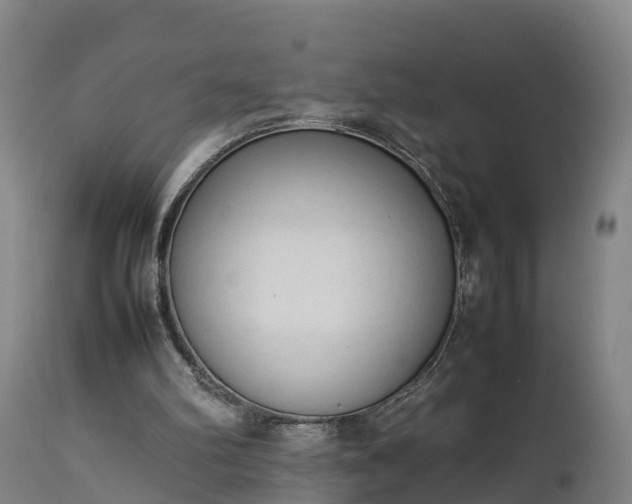 X0000112850102200908281613