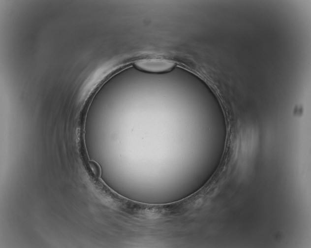 X0000112850103200908281613