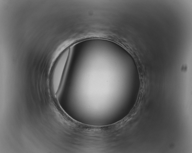 X0000112850104200908281613