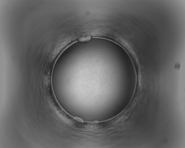 X0000112850105200908281613