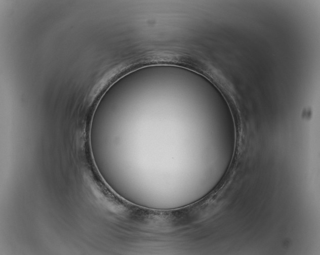 X0000112850107200908281613