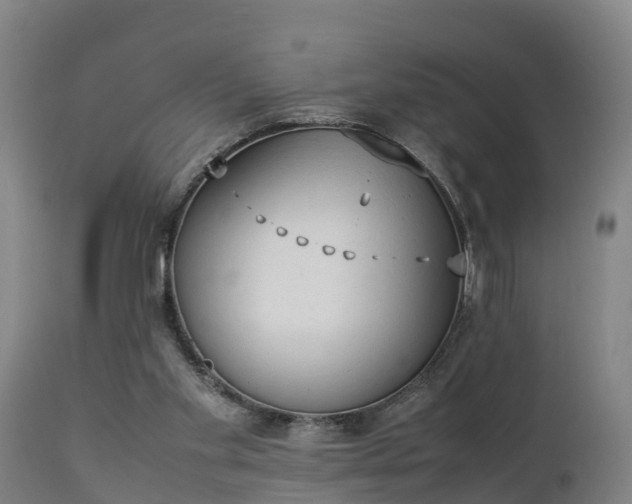 X0000112850109200908281613