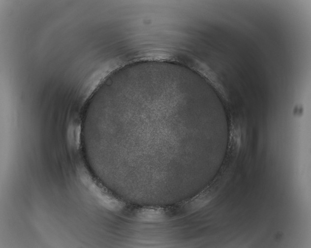 X0000112850110200908281613