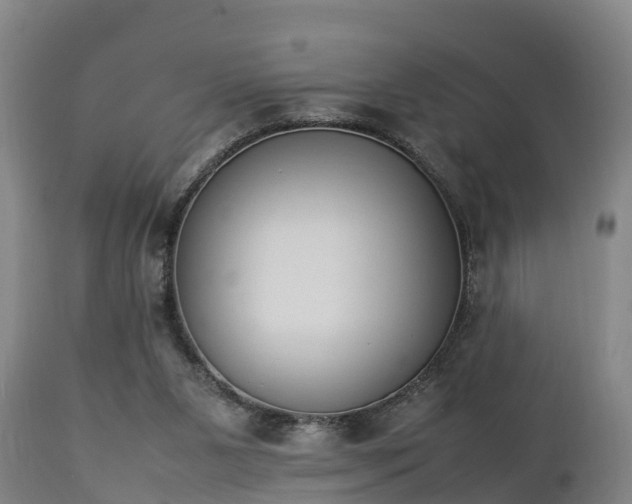 X0000112850111200908281613