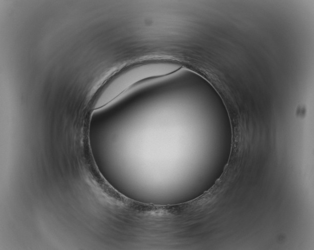 X0000112850112200908281613