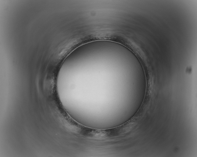 X0000112850113200908281613