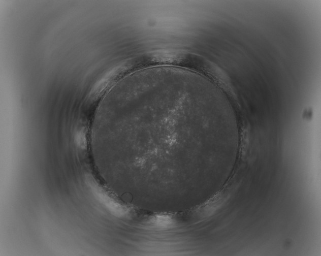 X0000112850114200908281613