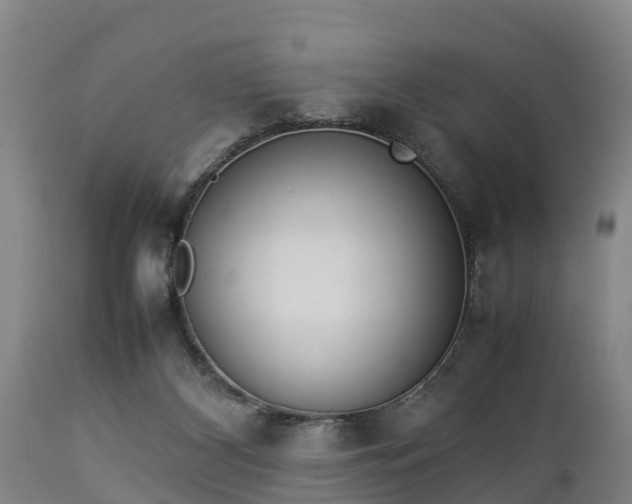 X0000112850116200908281613