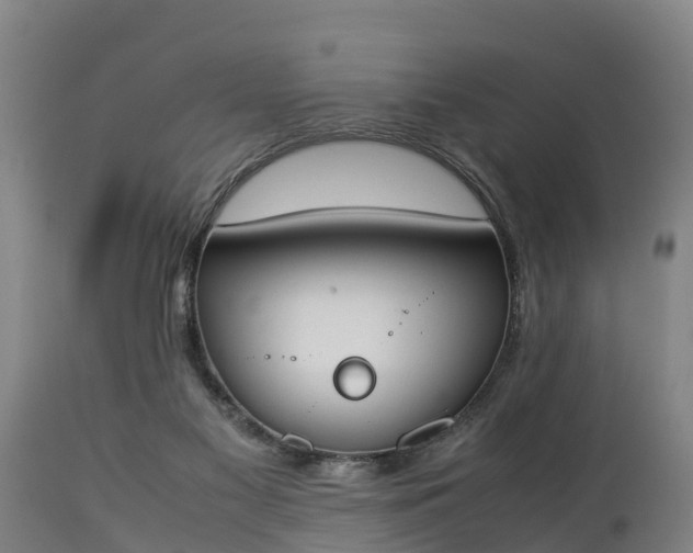 X0000112850117200908281613