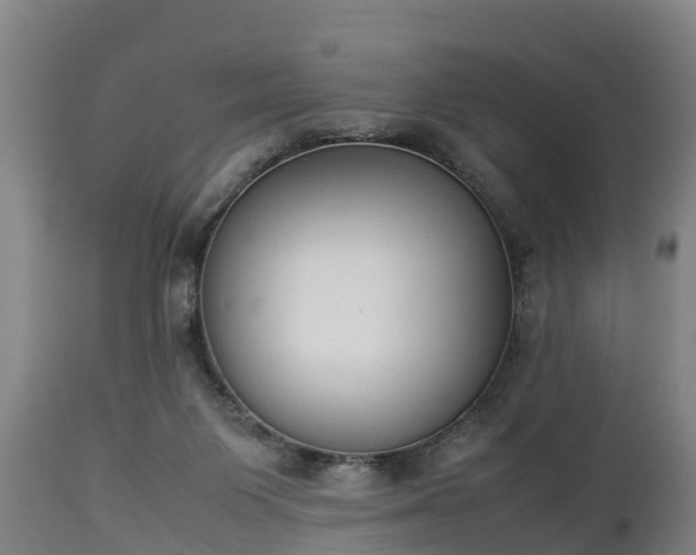 X0000112850119200908281613