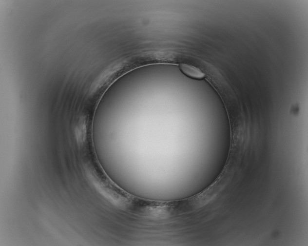 X0000112850120200908281612