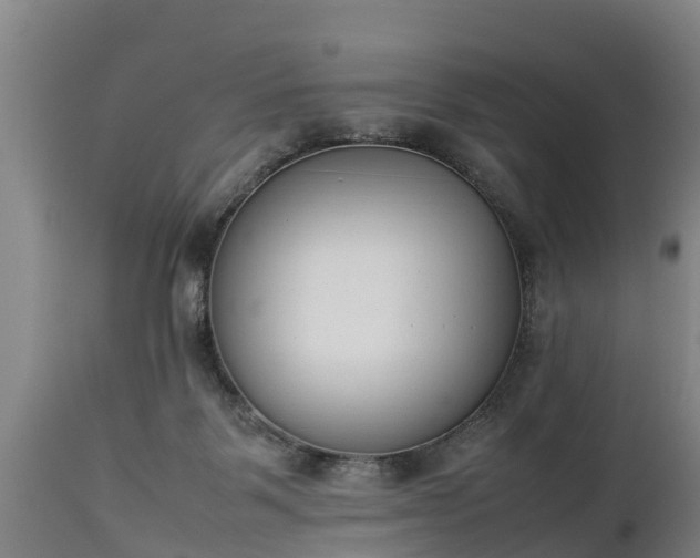 X0000112850123200908281612