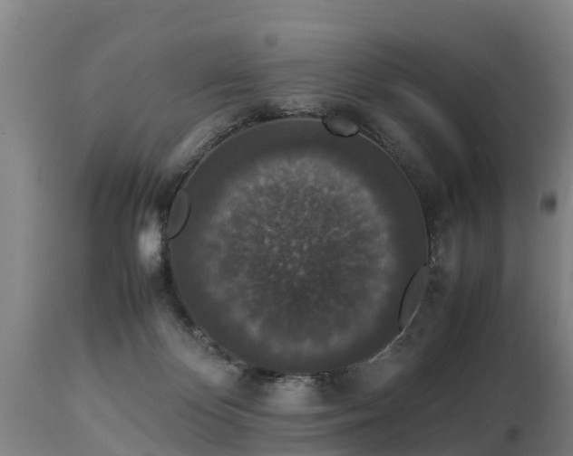 X0000112850124200908281612