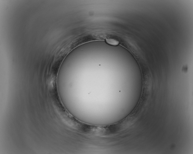 X0000112850125200908281612