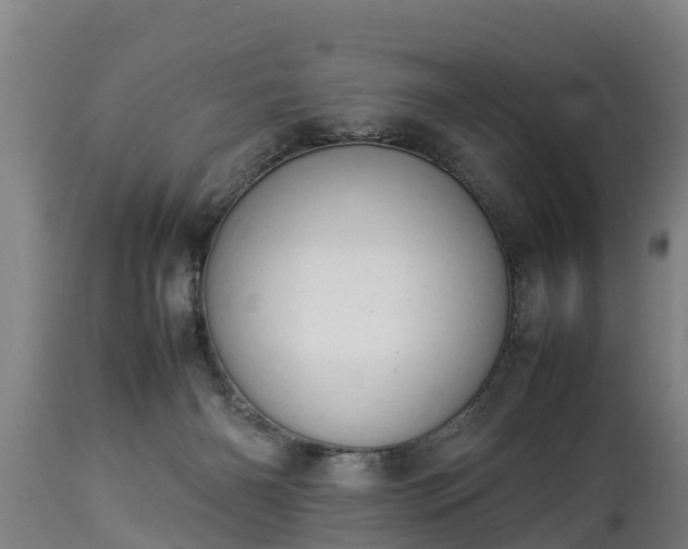 X0000112850126200908281612