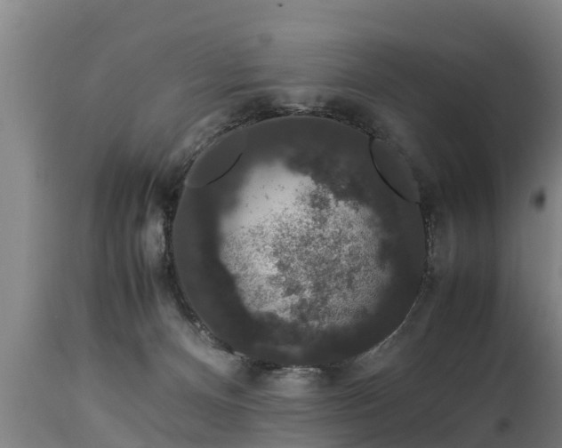 X0000112850128200908281612