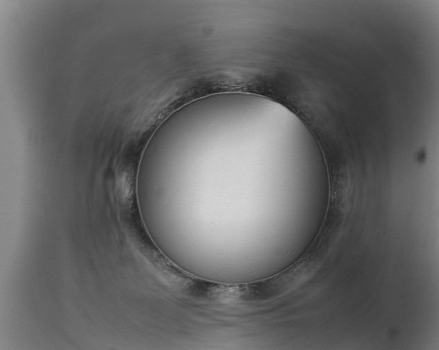 X0000112850131200908281612