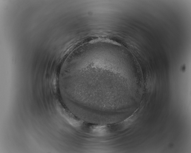 X0000112850132200908281612