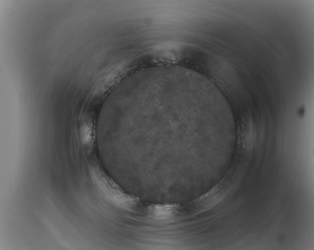 X0000112850134200908281612