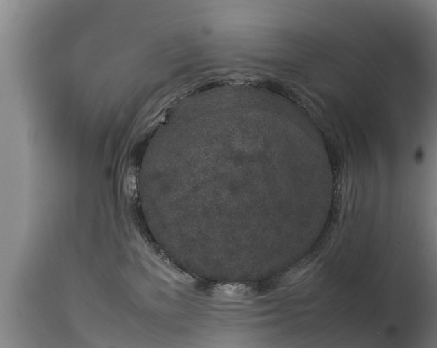 X0000112850137200908281612