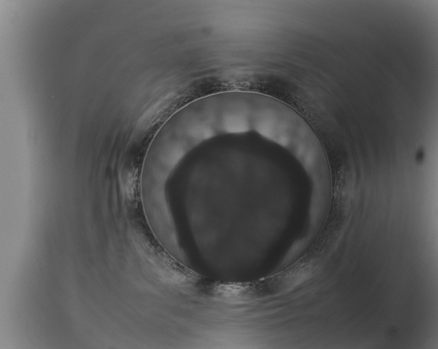 X0000112850139200908281612