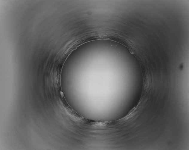 X0000112850140200908281612