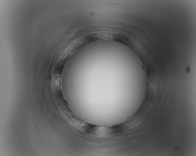 X0000112850141200908281612