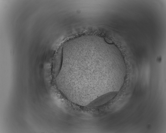 X0000112850144200908281612