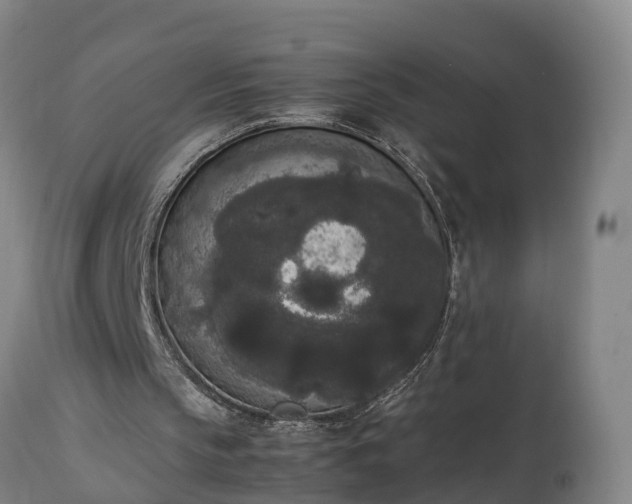 X0000112850145200908281611