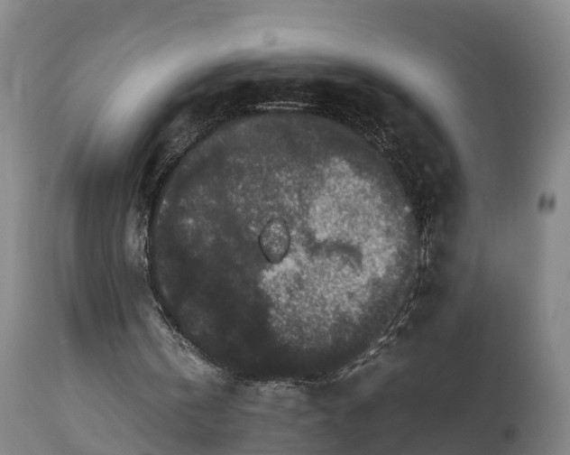 X0000112850146200908281611