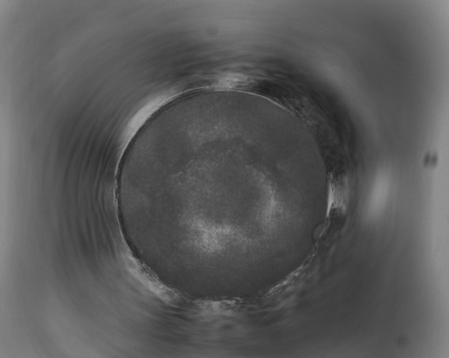 X0000112850147200908281611