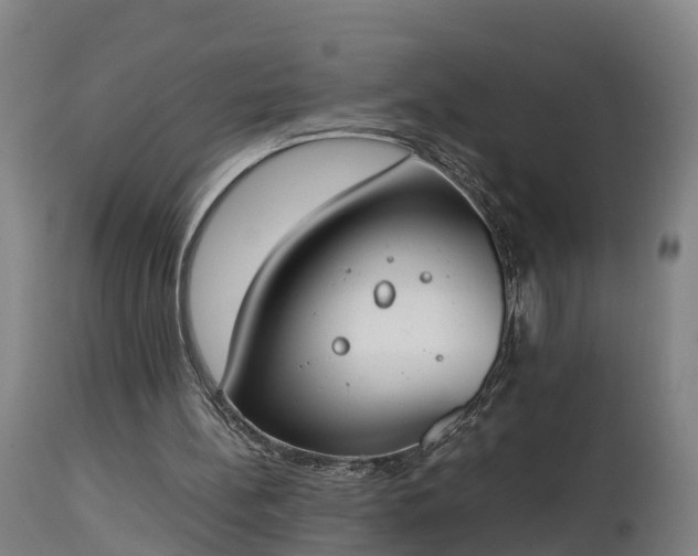 X0000112850148200908281611