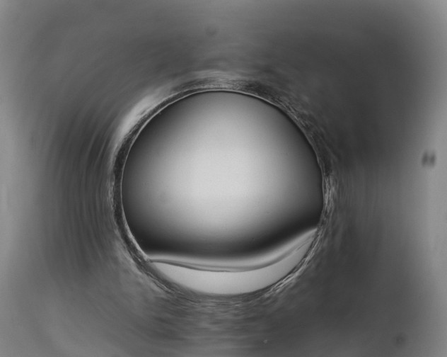 X0000112850150200908281611