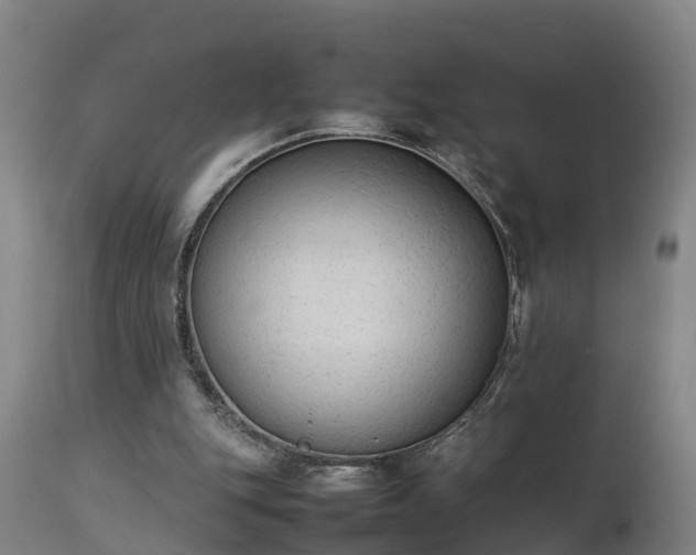 X0000112850151200908281611