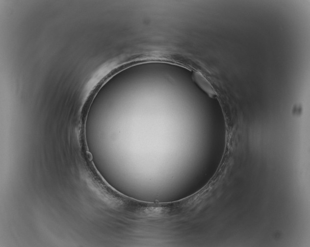 X0000112850152200908281611