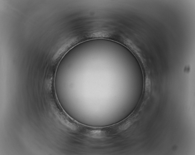 X0000112850153200908281611