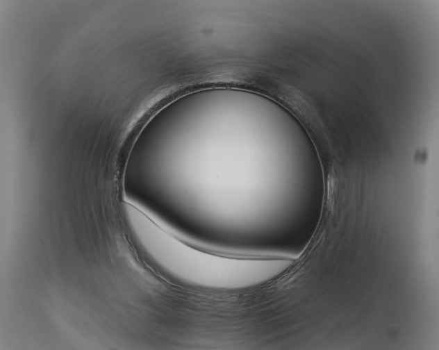 X0000112850156200908281611