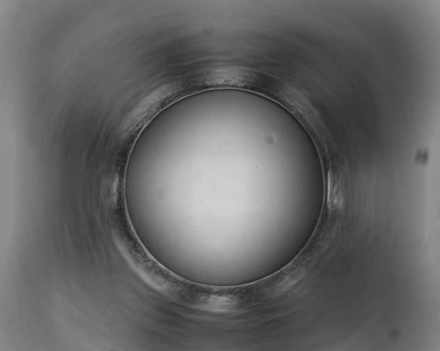 X0000112850157200908281612