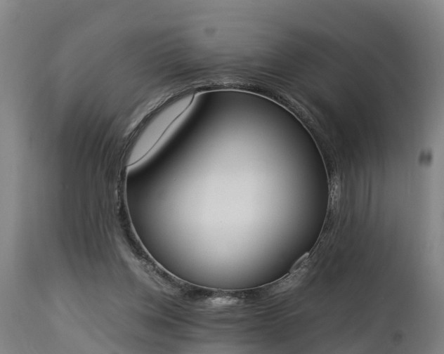 X0000112850158200908281612