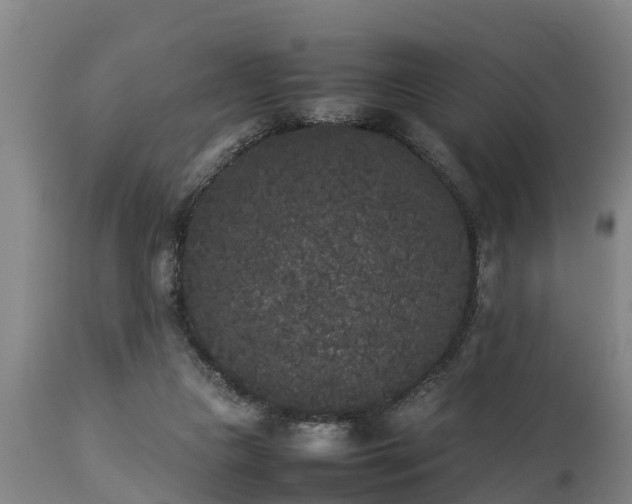 X0000112850161200908281612