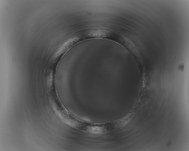 X0000112850163200908281612