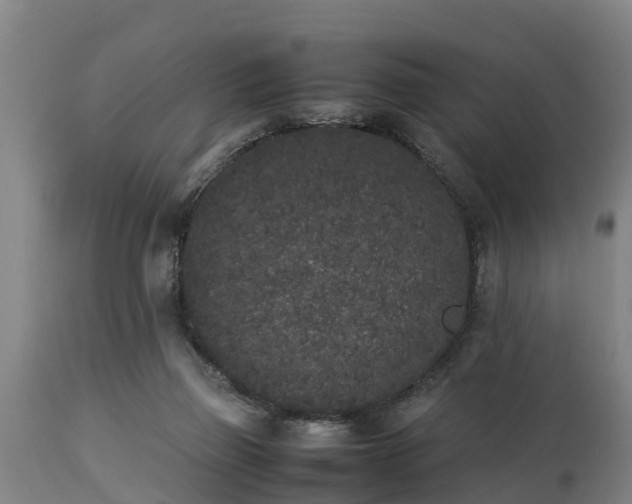 X0000112850165200908281612