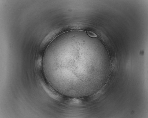 X0000112850166200908281612