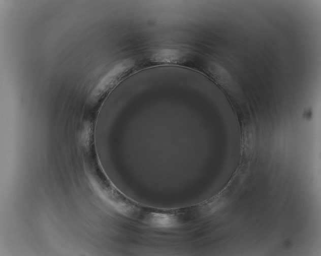 X0000112850167200908281612