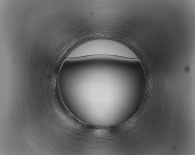 X0000112850168200908281612