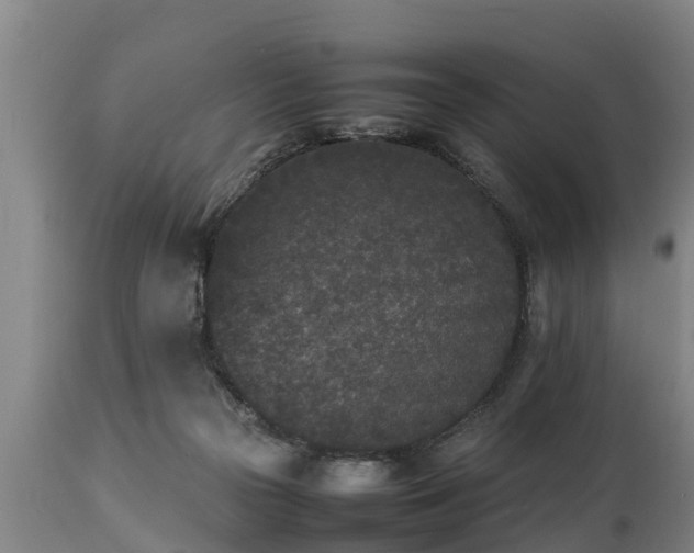 X0000112850169200908281612