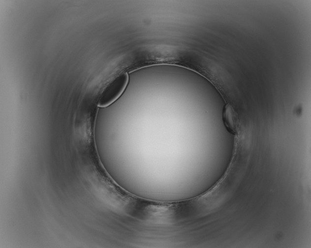 X0000112850170200908281612