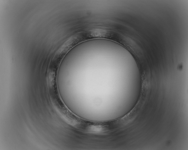 X0000112850171200908281612