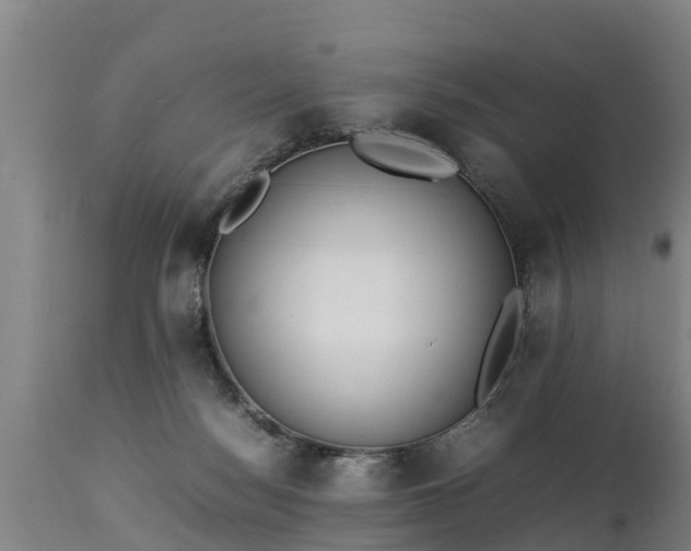 X0000112850172200908281612